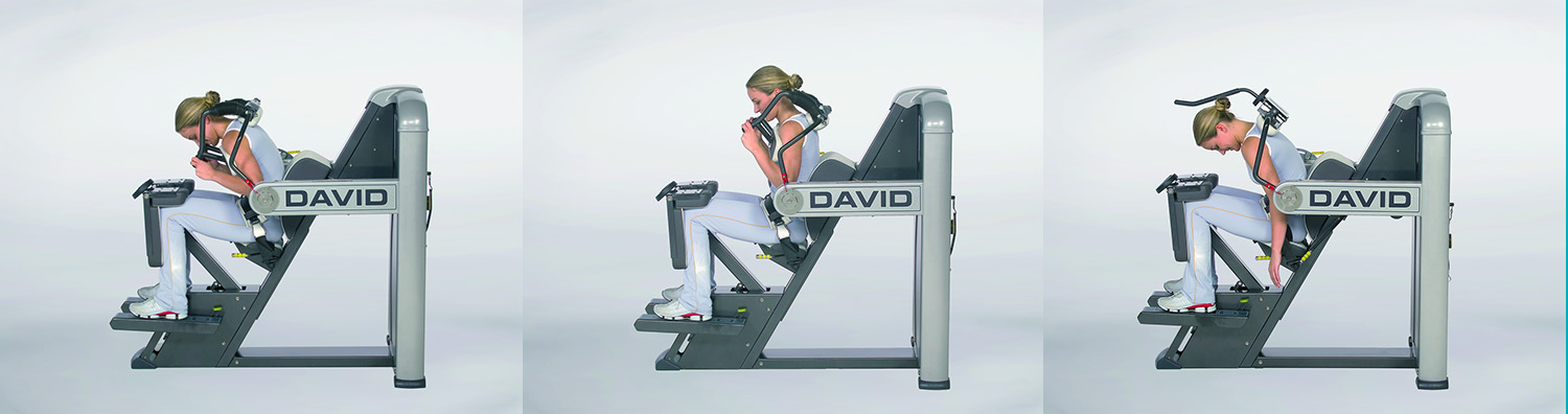 David Spine Solution